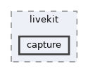 include/livekit/capture